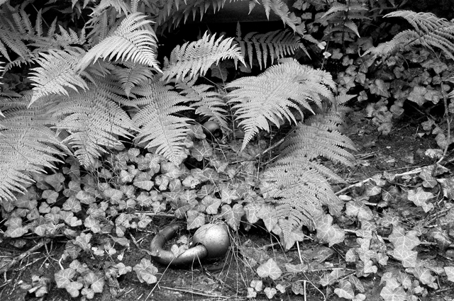 jüdischer friedhof berlin weissensee jewish cemetery cimetière juif passé décomposé bethhahayim sepulcra judaica