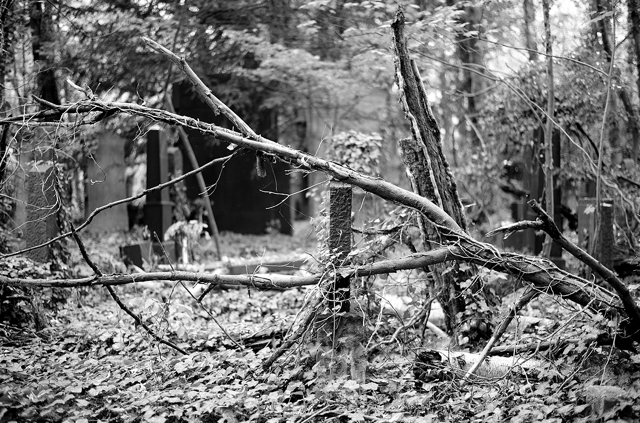 jüdischer friedhof berlin weissensee jewish cemetery cimetière juif passé décomposé bethhahayim sepulcra judaica