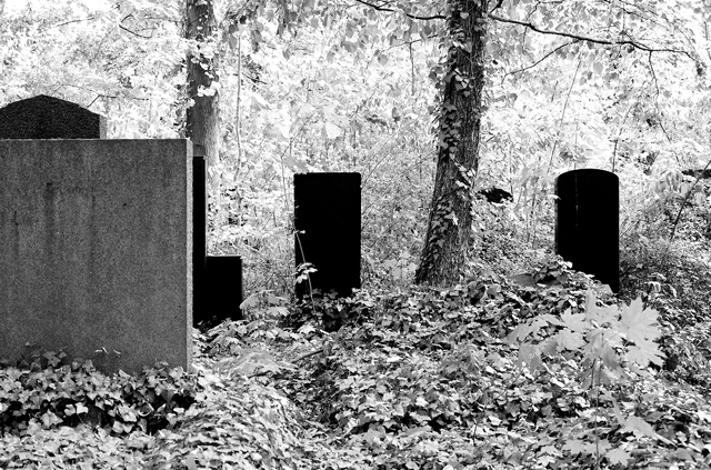 jüdischer friedhof berlin weissensee jewish cemetery cimetière juif passé décomposé bethhahayim sepulcra judaica