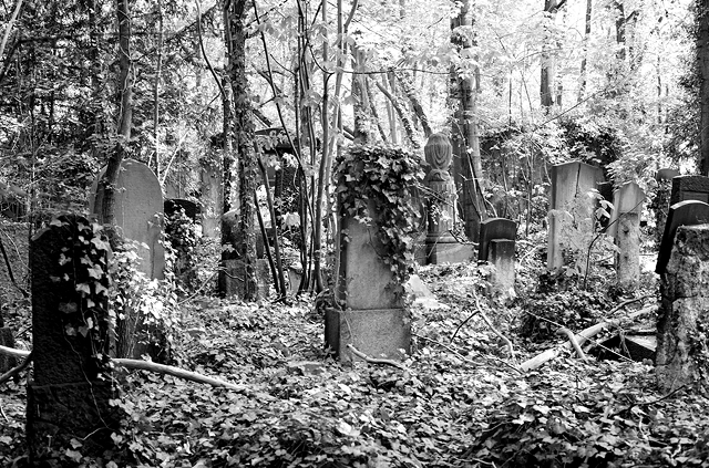 jüdischer friedhof berlin weissensee jewish cemetery cimetière juif passé décomposé bethhahayim sepulcra judaica