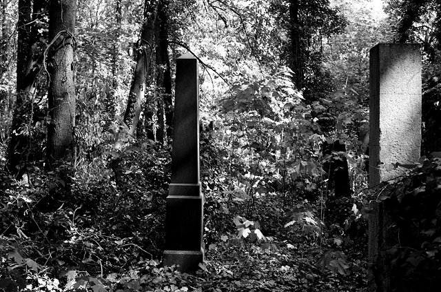 jüdischer friedhof berlin weissensee jewish cemetery cimetière juif passé décomposé bethhahayim sepulcra judaica