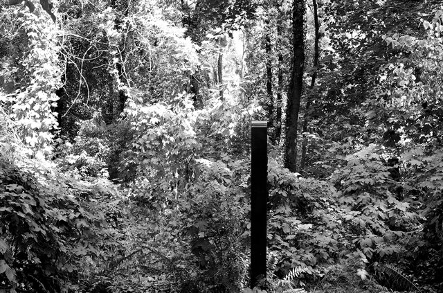 jüdischer friedhof berlin weissensee jewish cemetery cimetière juif passé décomposé bethhahayim sepulcra judaica