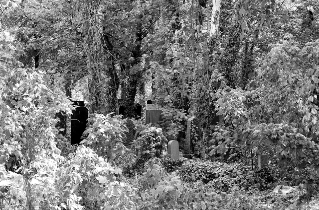 jüdischer friedhof berlin weissensee jewish cemetery cimetière juif passé décomposé bethhahayim sepulcra judaica