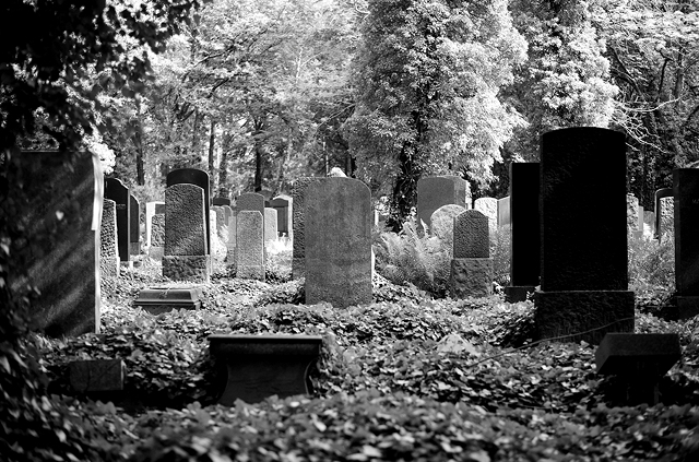 jüdischer friedhof berlin weissensee jewish cemetery cimetière juif passé décomposé bethhahayim sepulcra judaica